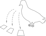 PigeonRank Diagram