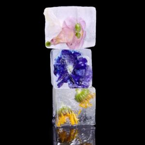 ice with flowers